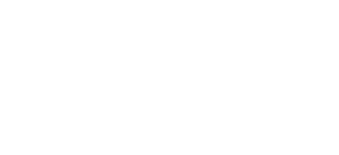 zicer Logo